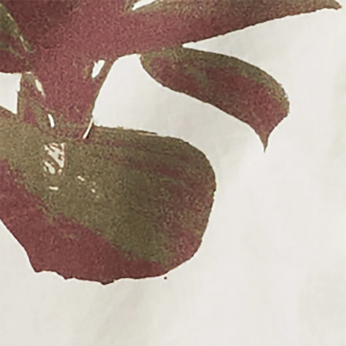 Columbia Pine Canyon Short-Sleeve Shirt - Men's 8 Columbia Pine Canyon Short-Sleeve Shirt - Men's - Image 6