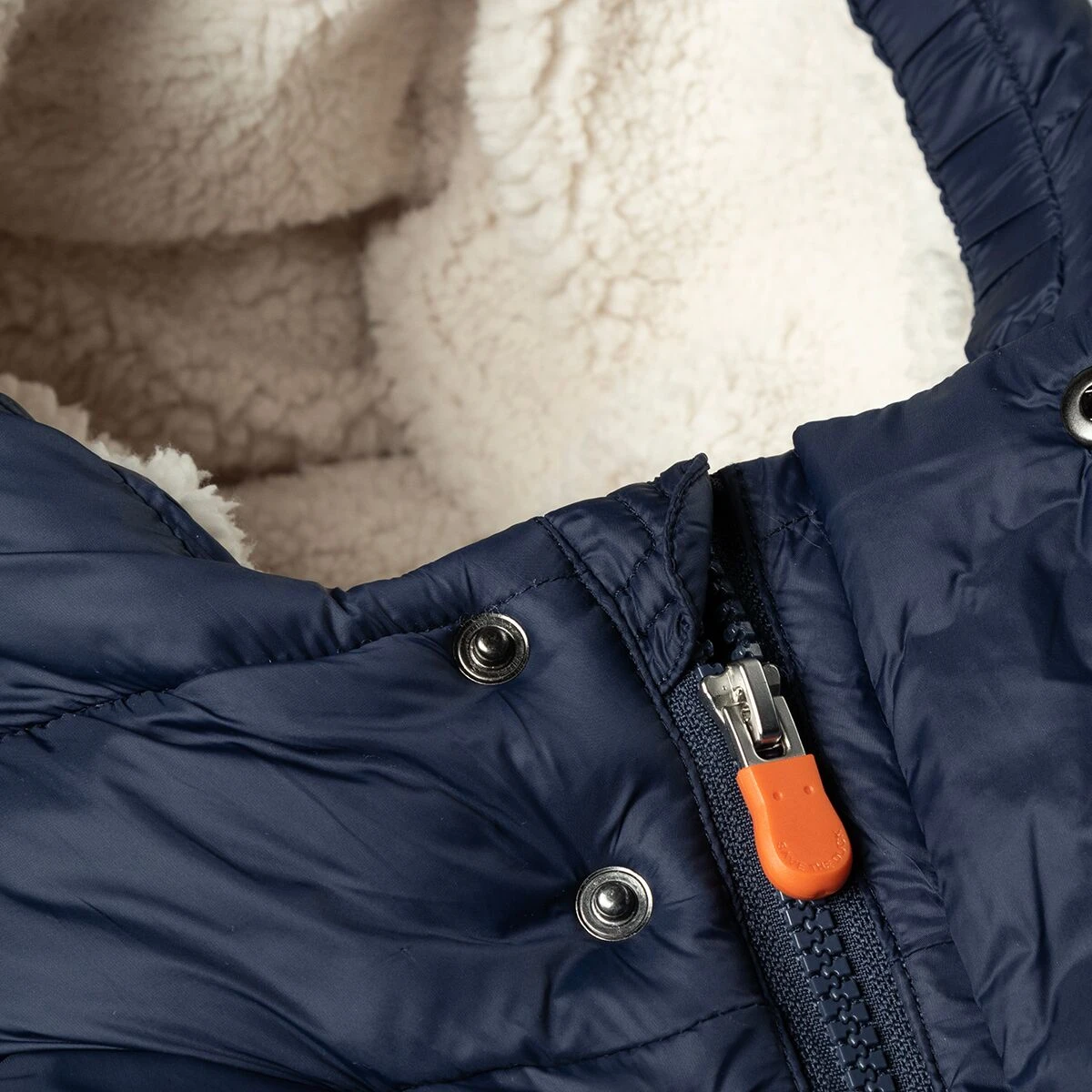 SAVE THE DUCK Carson Jacket - Kids' 4 SAVE THE DUCK Carson Jacket - Kids' - Image 2