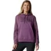 Mountain Hardwear MHW Logo Hoodie - Women's -Chic Clothing Store PALPLU