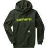 Carhartt Rain Defender Loose Fit MW Logo Graphic Sweatshirt - Men's -Chic Clothing Store PEA 1
