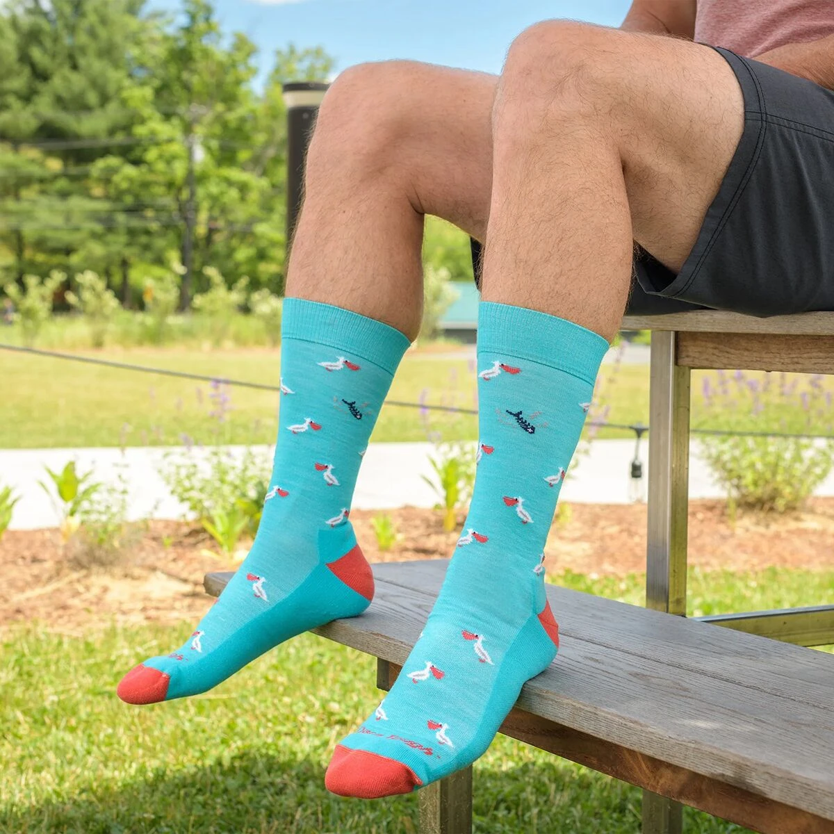 Darn Tough Pelican Crew Lightweight + Cushion Sock 7 Darn Tough Pelican Crew Lightweight + Cushion Sock - Image 5